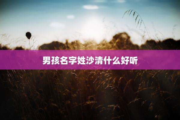 男孩名字姓沙清什么好听