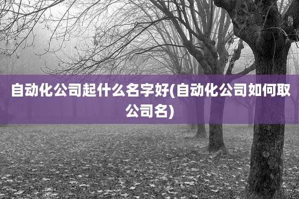 自动化公司起什么名字好(自动化公司如何取公司名)