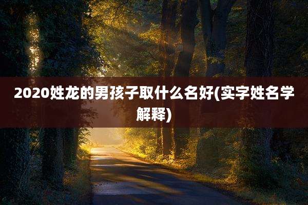 2020姓龙的男孩子取什么名好(实字姓名学解释)
