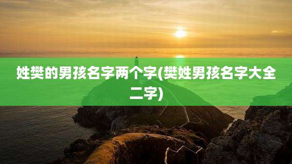 姓樊的男孩名字两个字(樊姓男孩名字大全二字)