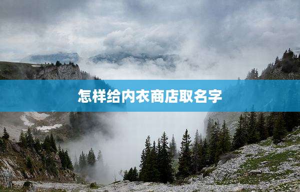怎样给内衣商店取名字