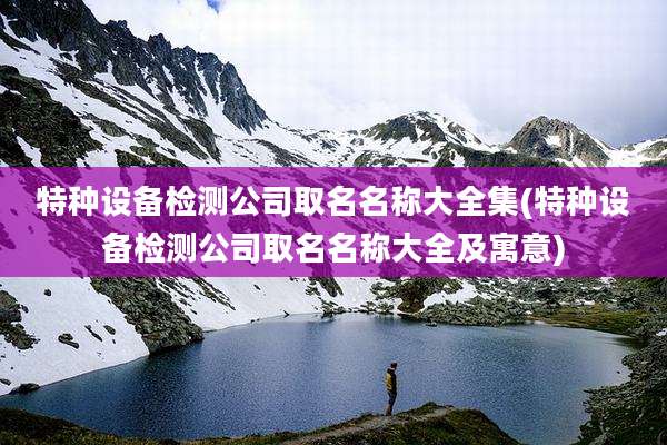 特种设备检测公司取名名称大全集(特种设备检测公司取名名称大全及寓意)