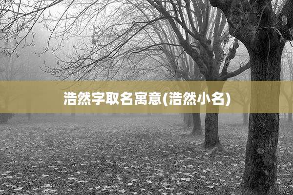 浩然字取名寓意(浩然小名)