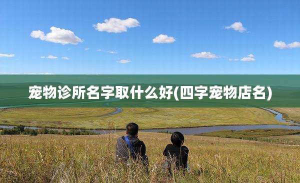 宠物诊所名字取什么好(四字宠物店名)