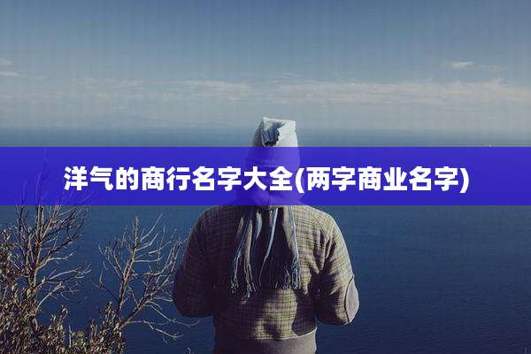 洋气的商行名字大全(两字商业名字)