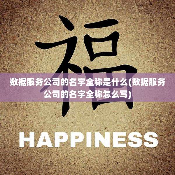 数据服务公司的名字全称是什么(数据服务公司的名字全称怎么写)