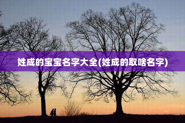 姓成的宝宝名字大全(姓成的取啥名字)