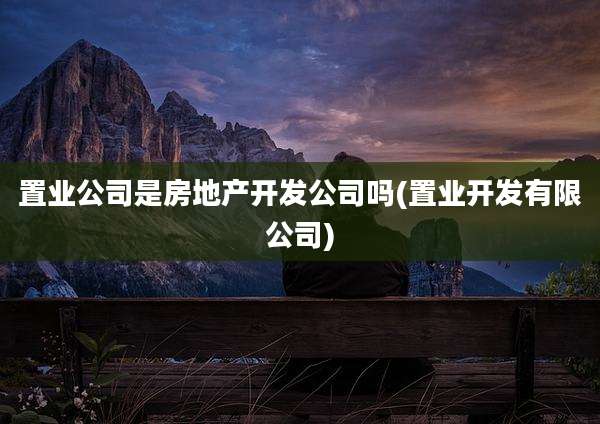 置业公司是房地产开发公司吗(置业开发有限公司)