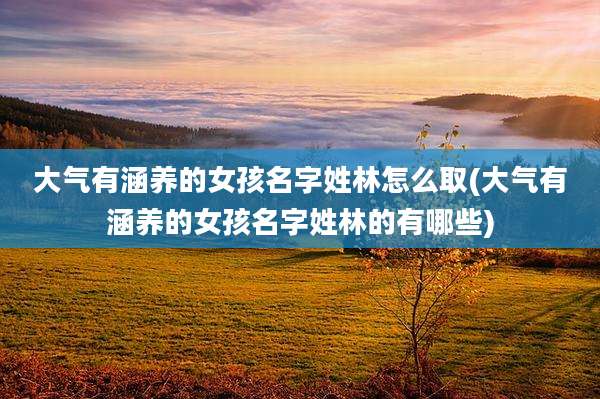 大气有涵养的女孩名字姓林怎么取(大气有涵养的女孩名字姓林的有哪些)