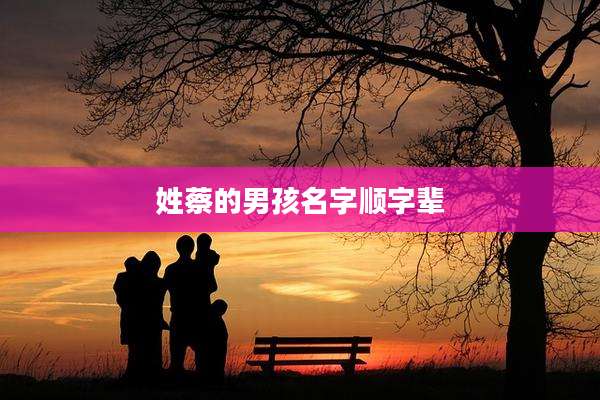 姓蔡的男孩名字顺字辈