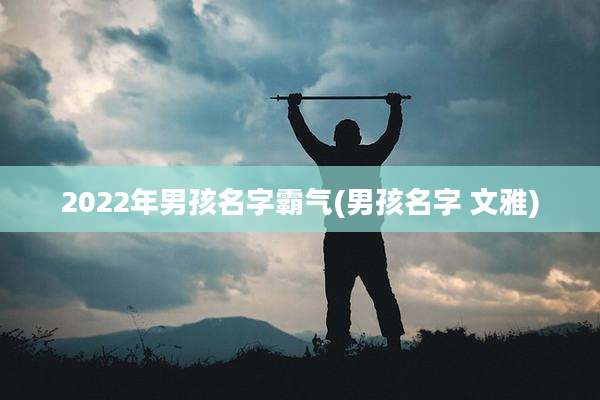 2022年男孩名字霸气(男孩名字 文雅)