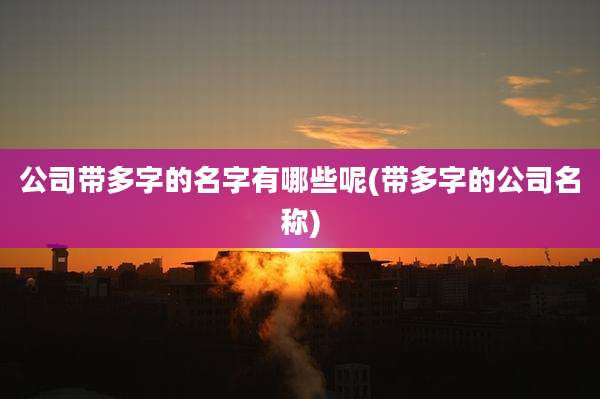 公司带多字的名字有哪些呢(带多字的公司名称)