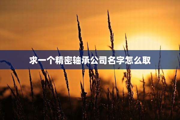 求一个精密轴承公司名字怎么取
