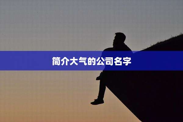 简介大气的公司名字