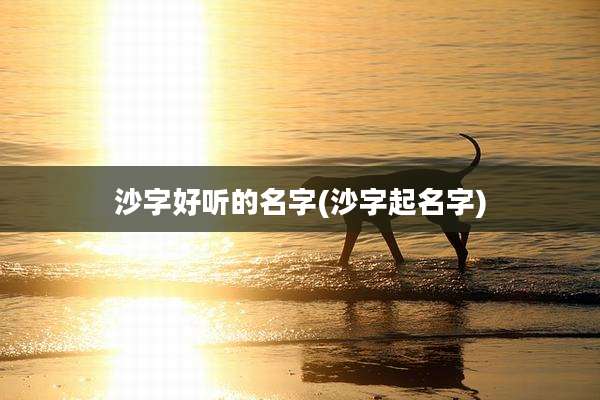 沙字好听的名字(沙字起名字)