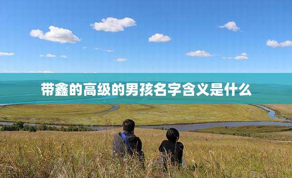 带鑫的高级的男孩名字含义是什么