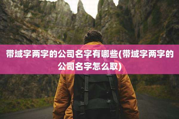 带域字两字的公司名字有哪些(带域字两字的公司名字怎么取)