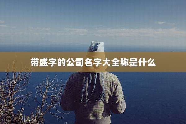 带盛字的公司名字大全称是什么