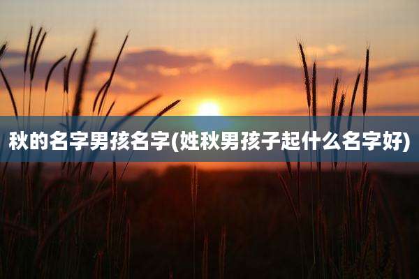 秋的名字男孩名字(姓秋男孩子起什么名字好)