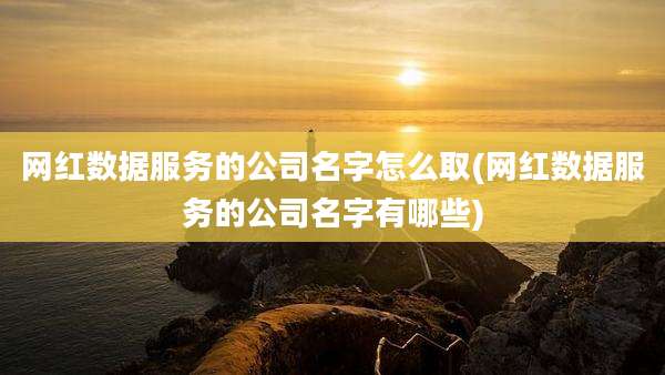 网红数据服务的公司名字怎么取(网红数据服务的公司名字有哪些)