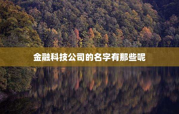 金融科技公司的名字有那些呢