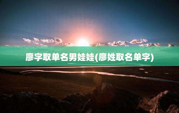 廖字取单名男娃娃(廖姓取名单字)