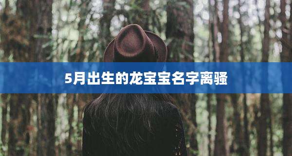 5月出生的龙宝宝名字离骚