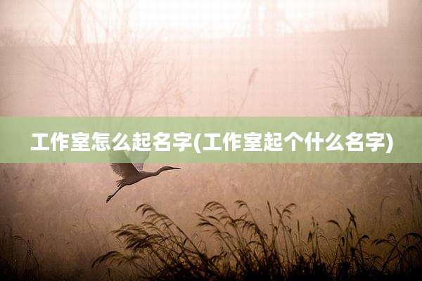 工作室怎么起名字(工作室起个什么名字)