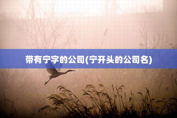 带有宁字的公司(宁开头的公司名)