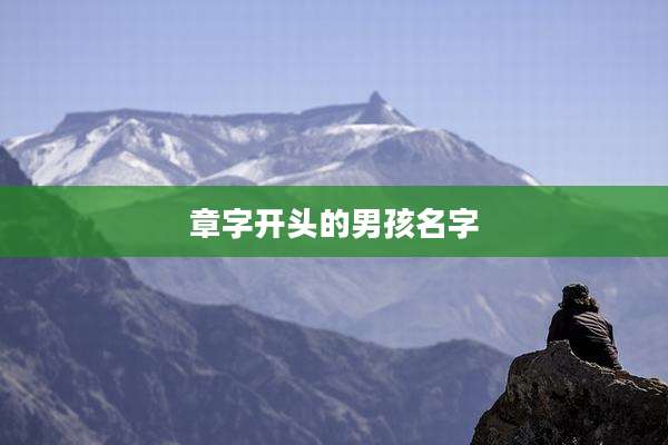 章字开头的男孩名字