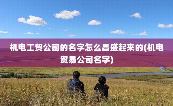 机电工贸公司的名字怎么昌盛起来的(机电贸易公司名字)