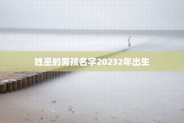姓巫的男孩名字20232年出生