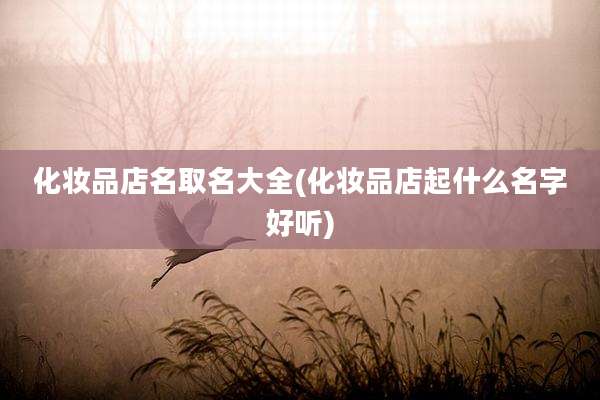 化妆品店名取名大全(化妆品店起什么名字好听)