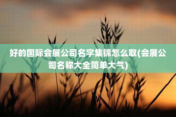 好的国际会展公司名字集锦怎么取(会展公司名称大全简单大气)