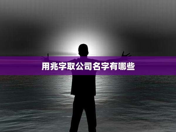 用兆字取公司名字有哪些