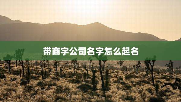 带商字公司名字怎么起名