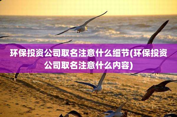 环保投资公司取名注意什么细节(环保投资公司取名注意什么内容)