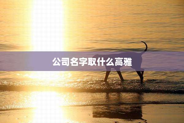 公司名字取什么高雅