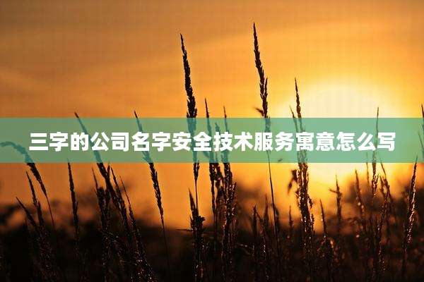 三字的公司名字安全技术服务寓意怎么写