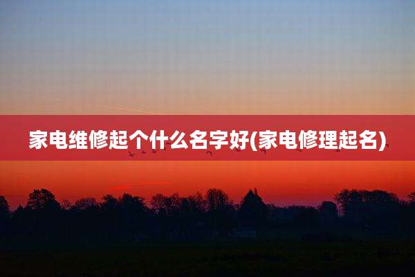 家电维修起个什么名字好(家电修理起名)