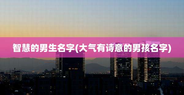 智慧的男生名字(大气有诗意的男孩名字)