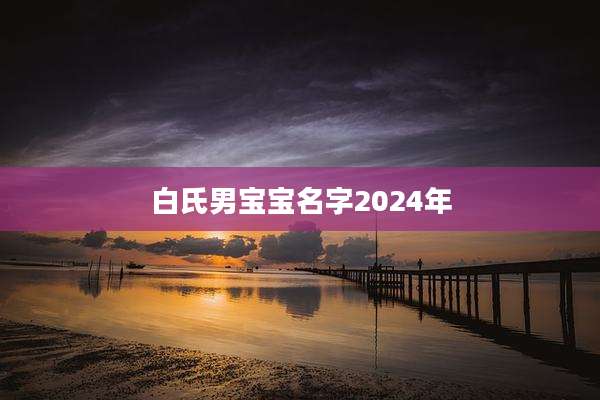 白氏男宝宝名字2024年