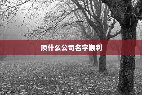 顶什么公司名字顺利