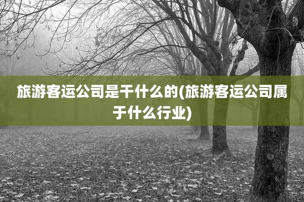 旅游客运公司是干什么的(旅游客运公司属于什么行业)