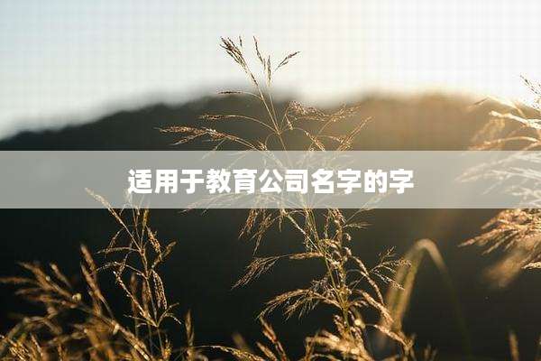 适用于教育公司名字的字