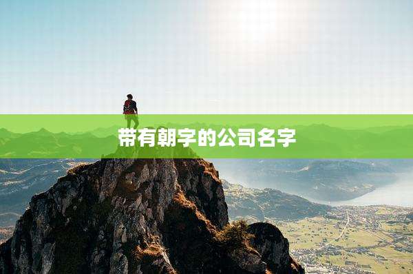 带有朝字的公司名字