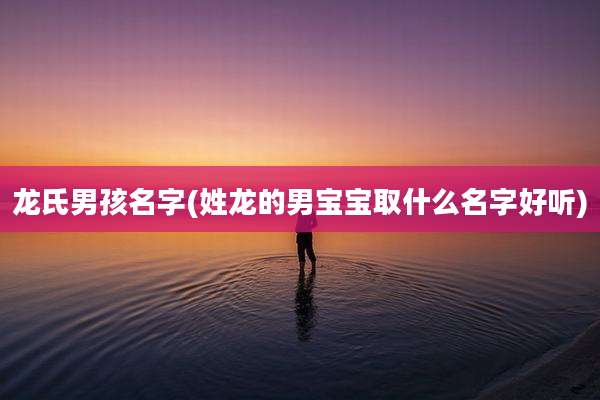 龙氏男孩名字(姓龙的男宝宝取什么名字好听)