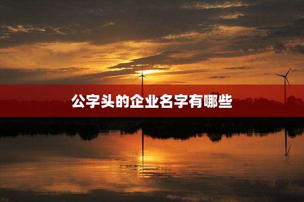 公字头的企业名字有哪些