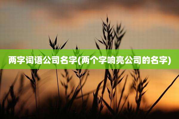 两字词语公司名字(两个字响亮公司的名字)