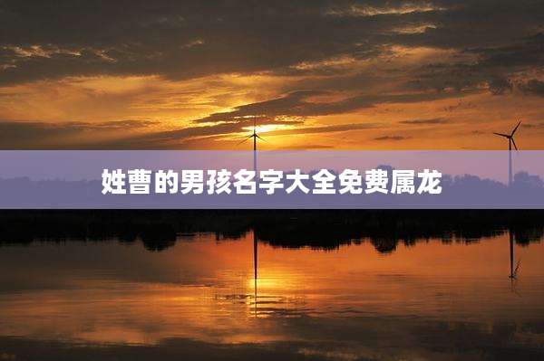 姓曹的男孩名字大全免费属龙